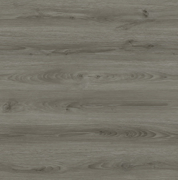 Ash Grey