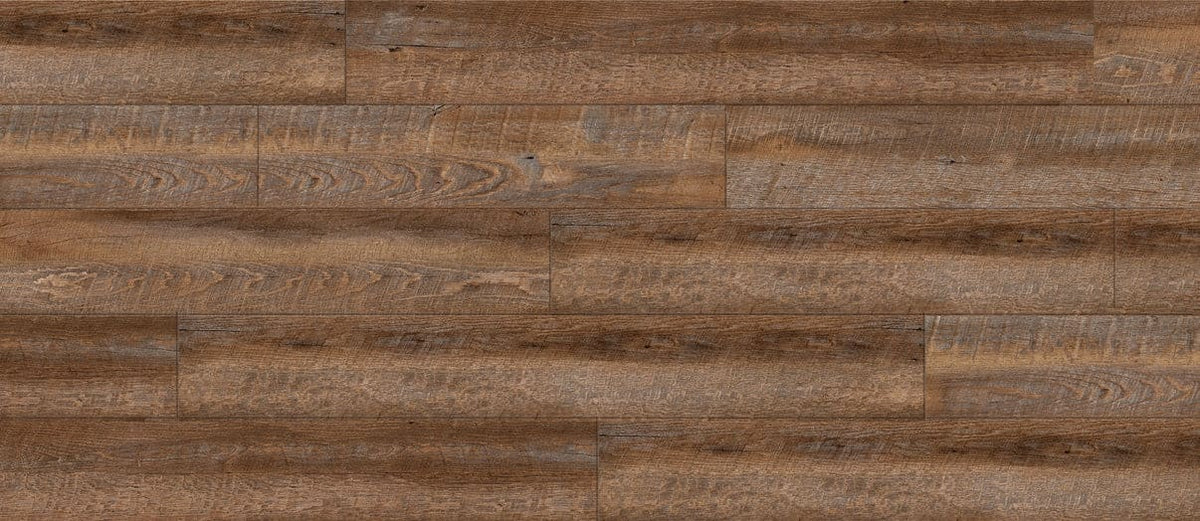 Mulberry Oak