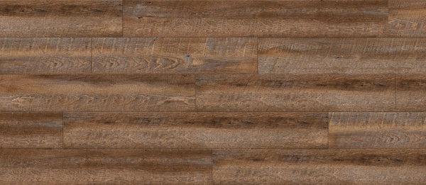 Mulberry Oak