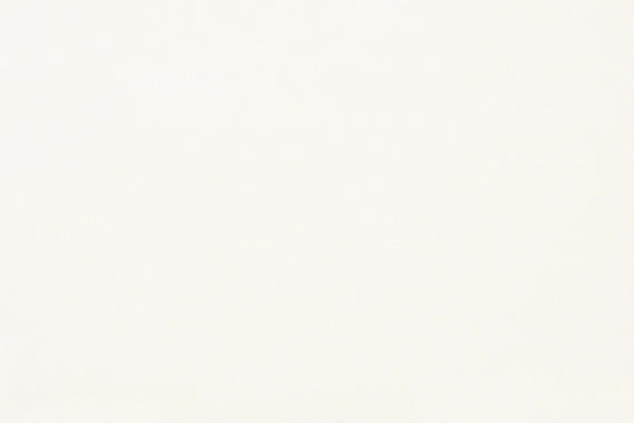 Marble Thassos White Rectangle 12X24 Polished