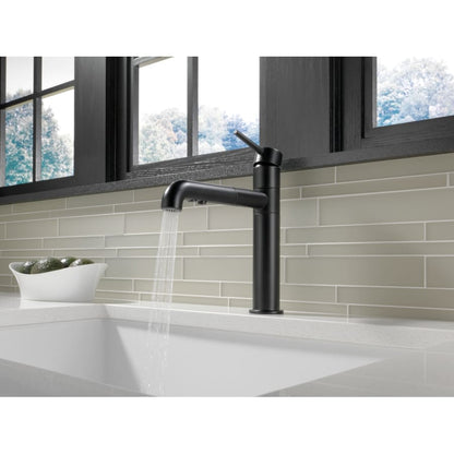 Trinsic Pull-Out Kitchen Faucet - Includes Lifetime Warranty