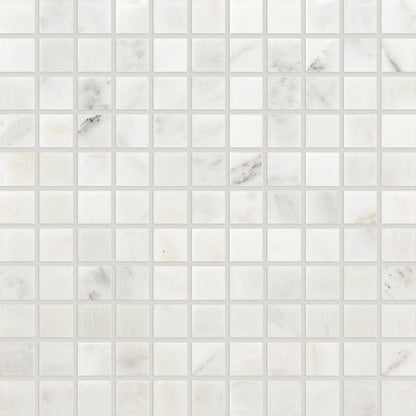 Marble First Snow Elegance Rectangle 12X24 Honed