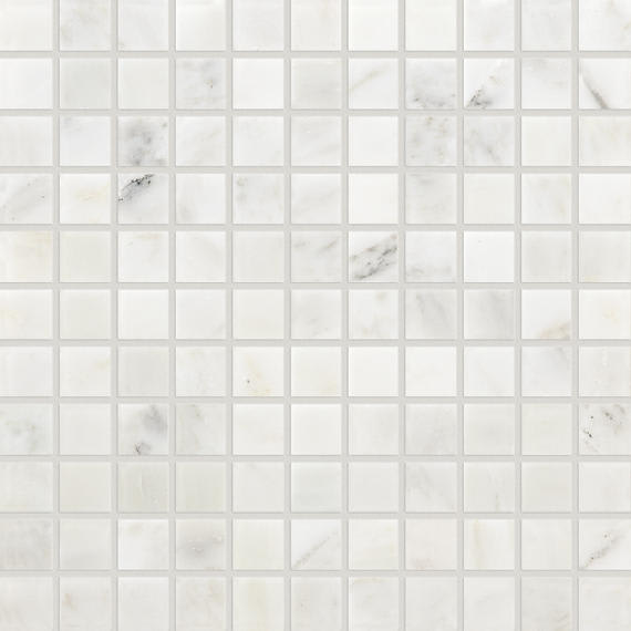 Marble First Snow Elegance Square 18X18 Honed