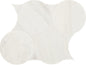 Eclessia Marble Pacifica Circle 6X6 Polished