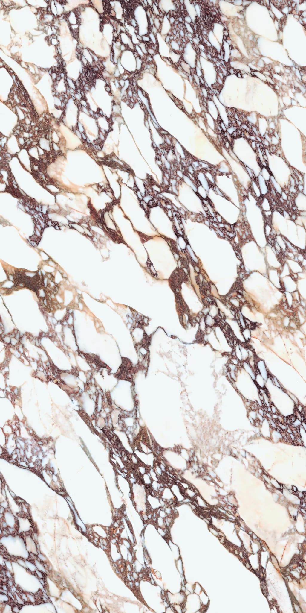 Calacatta Viola Natural Bm Face B