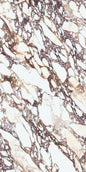 Calacatta Viola Natural Bm Face A