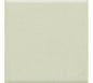 Keystones Mint Ice Organic Penny 1X1 Matte