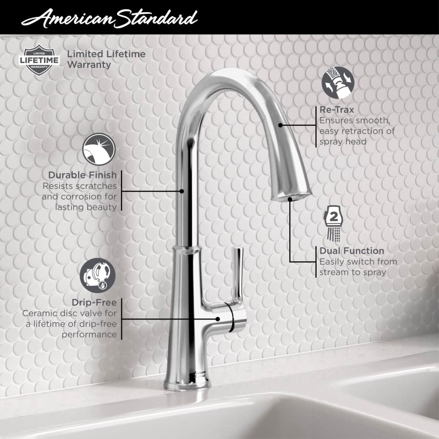 Renate 1.5 GPM Single Hole Pull Down Kitchen Faucet - Includes Escutcheon