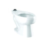 SloanTec Toilet Bowl, Floor Mount, 10 or 12 in Rough, Elongated, Flushometer, White