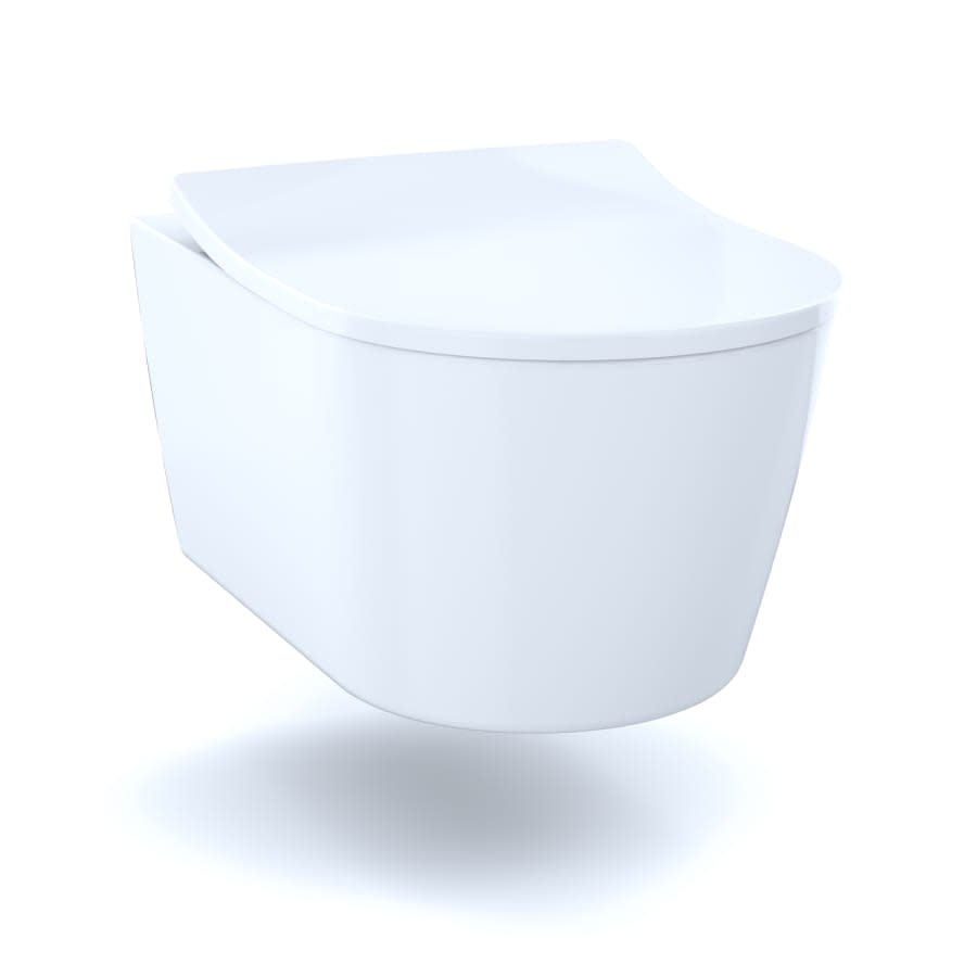 RP D-Shape Wall Mounted Toilet Bowl Only with CeFiONtect