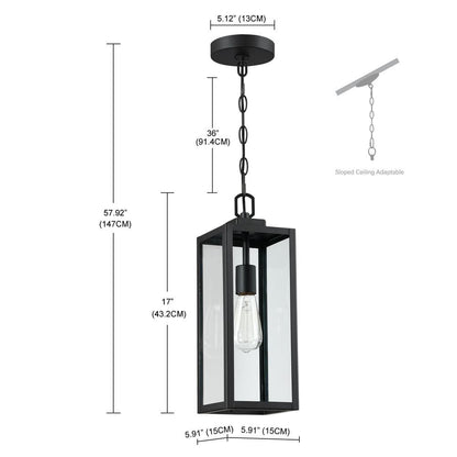 1-Light Matte Black Outdoor/Indoor Pendant Light with Clear Glass Shade