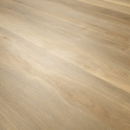 NOVE PLUS BAYHILL BLONDE 9X48