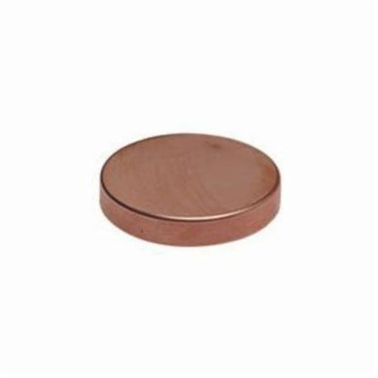Test Cap, 1-1/4 in, C, Copper