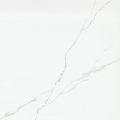 DUCHESSA SILVER MT 24X24