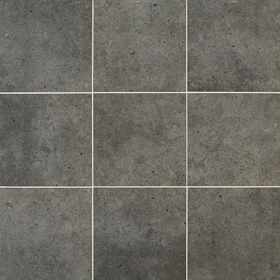 Industrial Park Charcoal Gray Rectangle 12X24 Matte