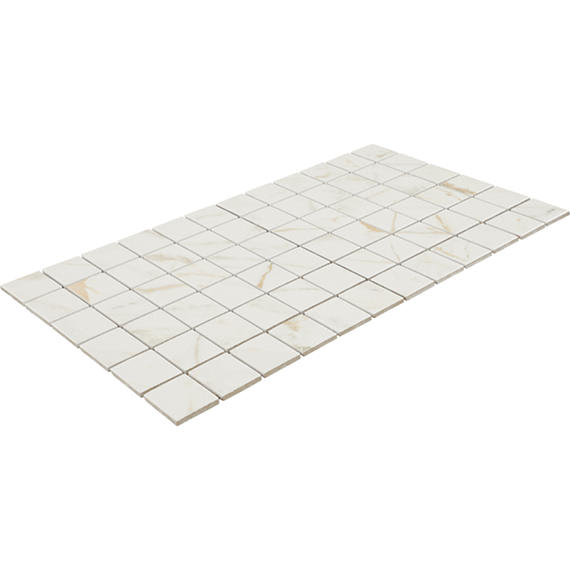 Panoramic Duet Diamond Mine Rectangle 24X48 Matte