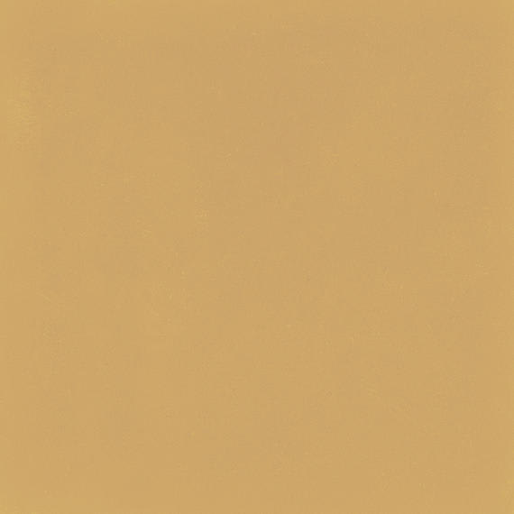 D_Segni Color Mustard Square 8X8 Matte