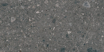 Assemble Emissary Rectangle 30X60 Matte