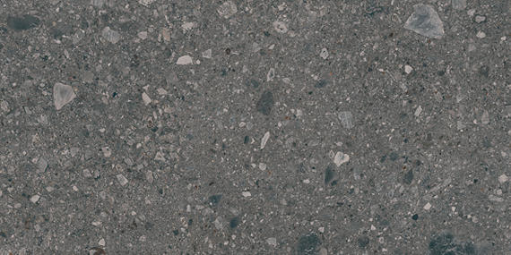 Assemble Emissary Rectangle 30X60 Matte