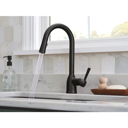 Adler 1.5 GPM Single Hole Pull Down Kitchen Faucet