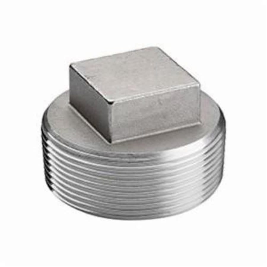 Square Head Plug, 2 in, MNPT, 316/316L Stainless Steel, 150 lb