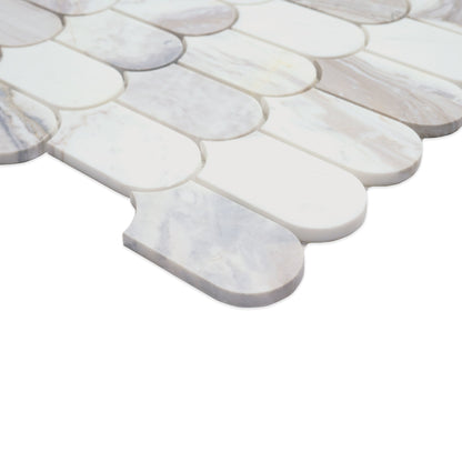 Edessa Scallop Polished