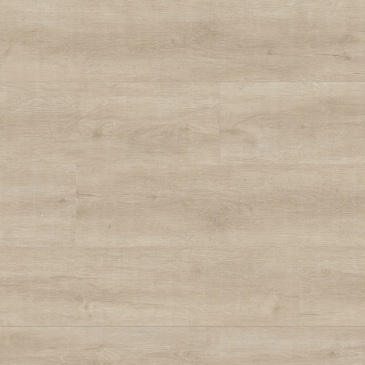 KALLUM SHASTA GROVE 8.98X48.03