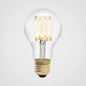6W Light Bulb E26 Clear A19 Globe