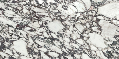 Calacatta Viola Polished