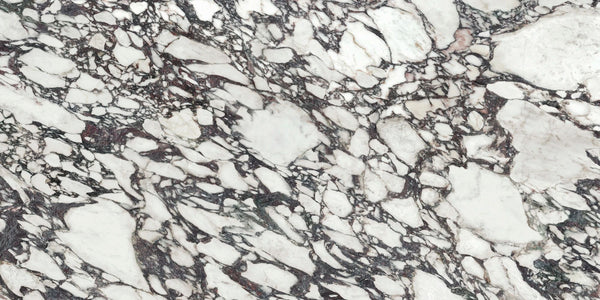 Calacatta Viola Polished