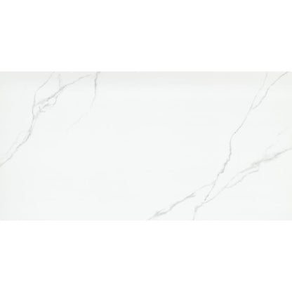 DUCHESSA SILVER PL 24X47 (Discontinued)