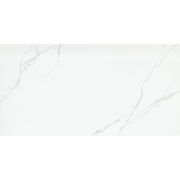 DUCHESSA SILVER PL 24X47 (Discontinued)