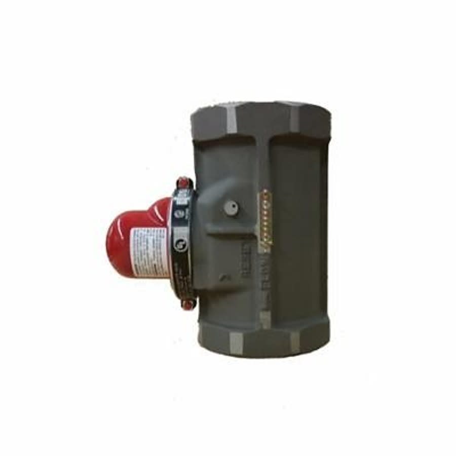 Vertical Top Earthquake Valve, 3 in, FNPT