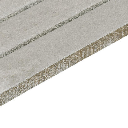Platinum Mist Rectangle 12X24 Glossy