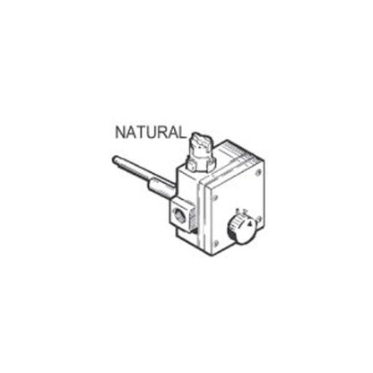 Gas Temperature Control