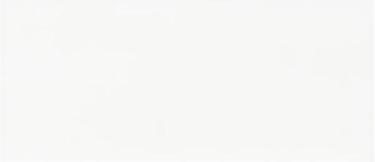 MAIOLICA WHITE 3X6 SBN