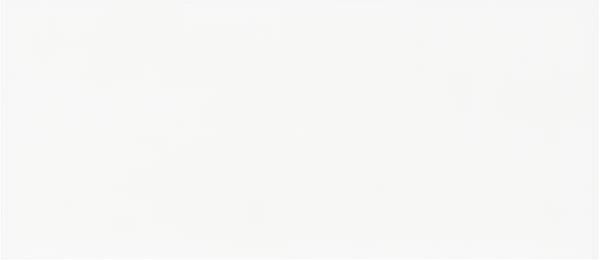 MAIOLICA WHITE 3X6 SBN