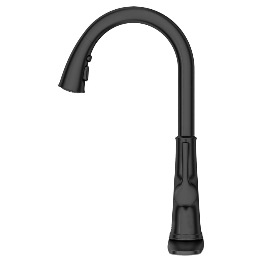 Renate 1.5 GPM Single Hole Pull Down Kitchen Faucet - Includes Escutcheon