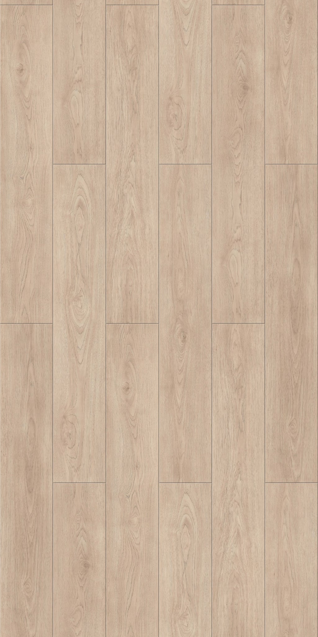 Maple Ash