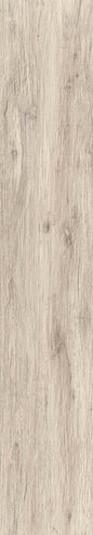 CHALET ALMOND 12X48