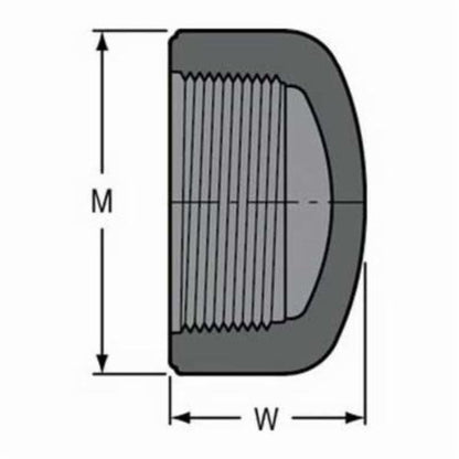 Cap, 3/4 in, FNPT, SCH 80/XH, PVC