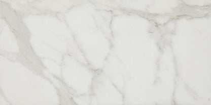 Platinum Calacatta Empire Square 12X12 Matte