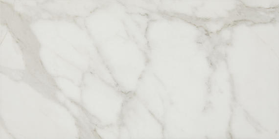 Platinum Calacatta Empire Square 24X24 Matte