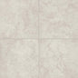 Natural Hues Ivory Rectangle 4X8 Matte