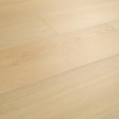 Wayne Parc Mellshire