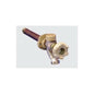 Hose Bibb, 1/2 or 3/4 in Inlet, FNPT or MNPT, Rough Brass
