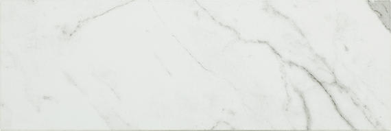 Platinum Calacatta Empire Square 12X12 Matte
