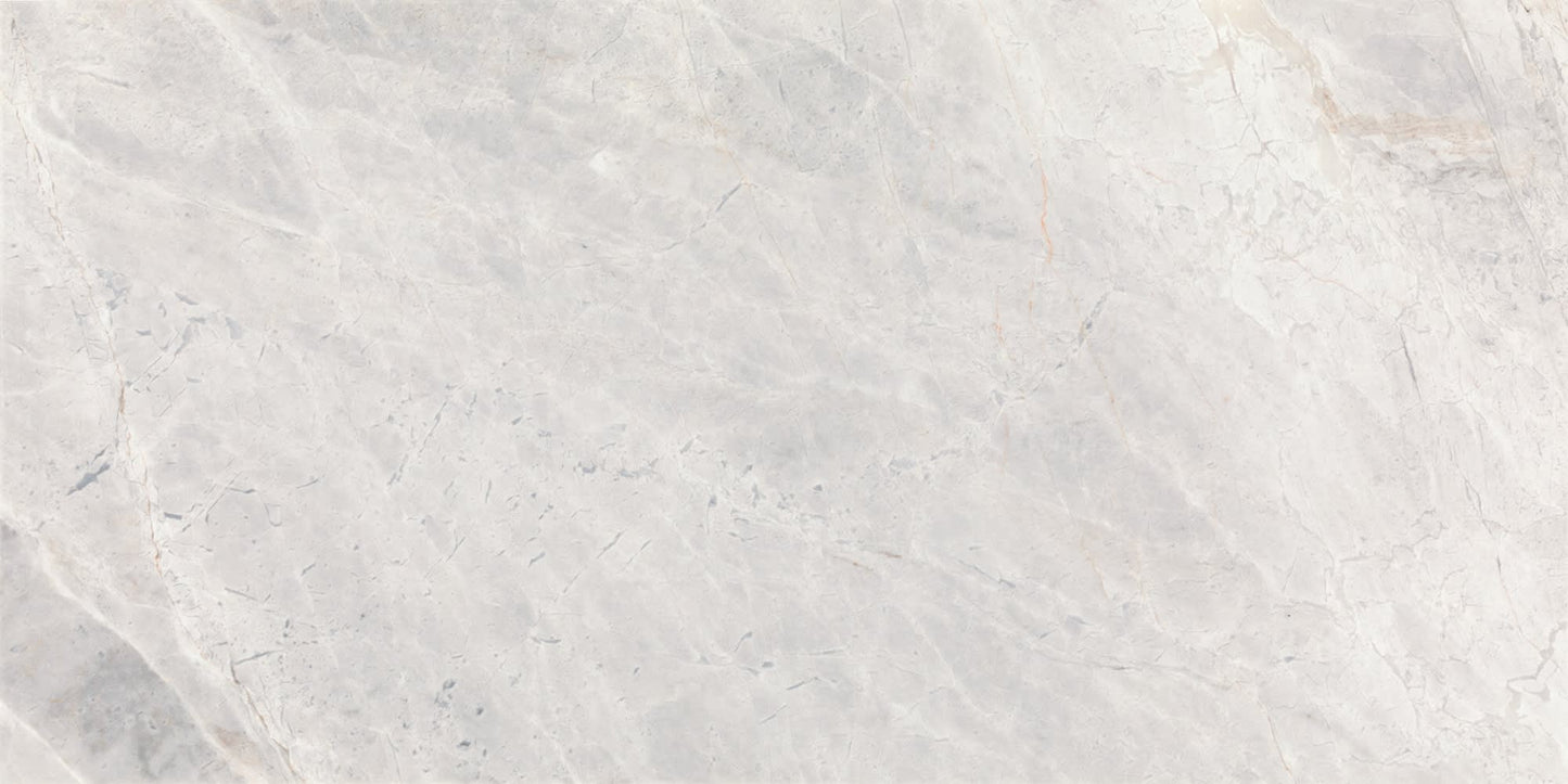 Eclessia Marble Cristallo Rectangle 12X24 Honed