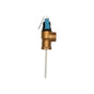 Temperature & Pressure Relief Valve, 1 in, FNPT, Bronze