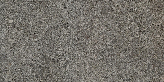 Industrial Park Charcoal Gray Rectangle 12X24 Matte